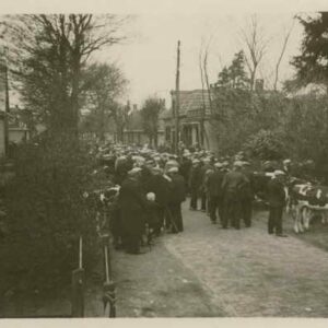 Bibenstraat Hellendoorn