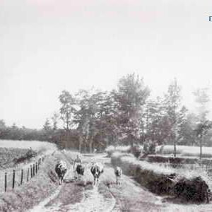 Damstraat Hellendoorn