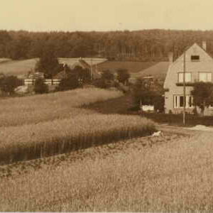 Johanna van Burenstraat