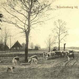 Schuilenburg